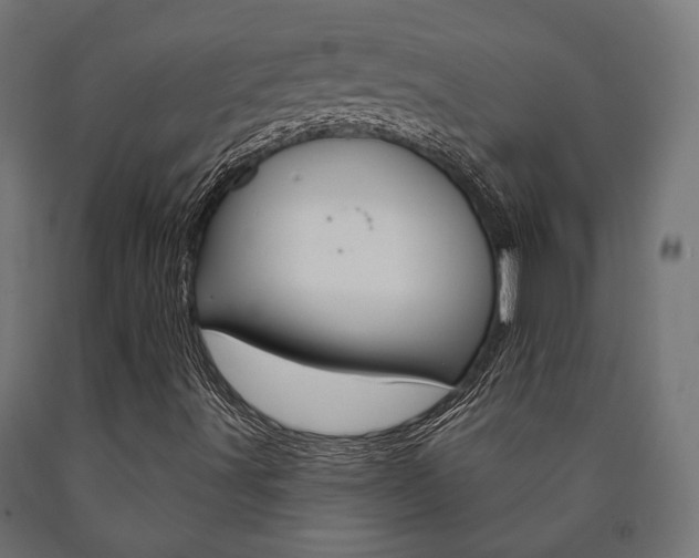 X0000091001491200708021214