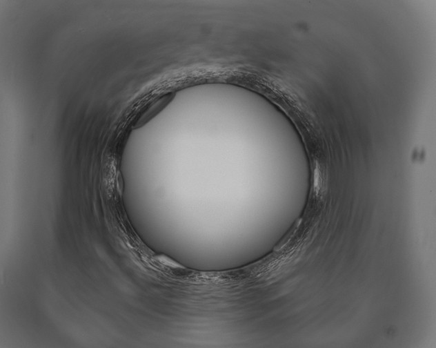 X0000091001492200708021214