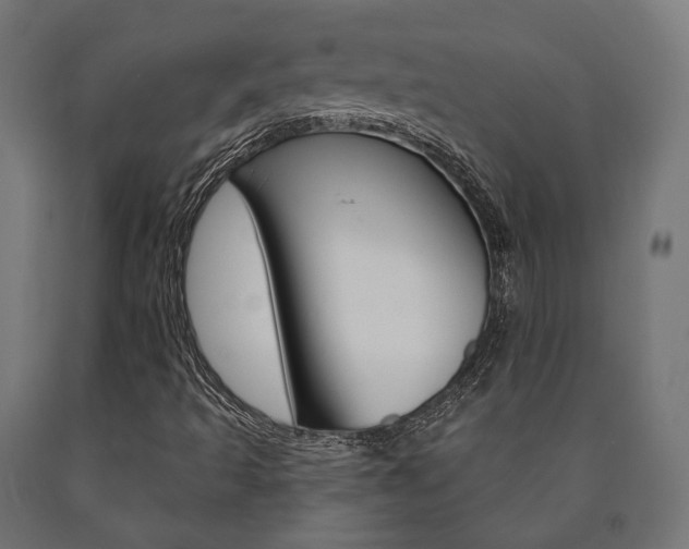 X0000091001493200708021214