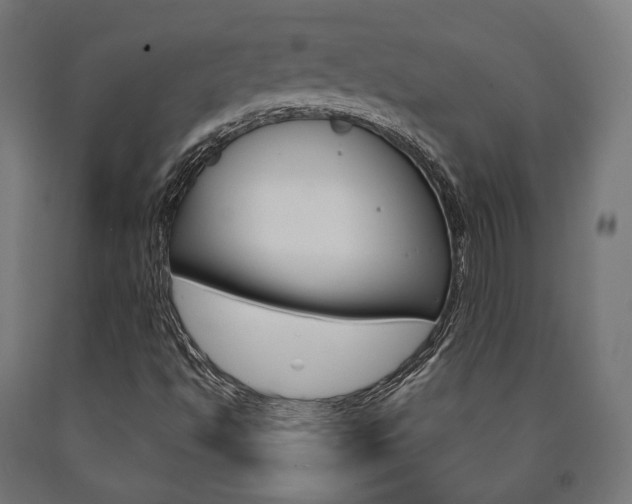 X0000091001494200708021214