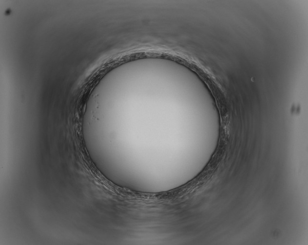 X0000091001495200708021214