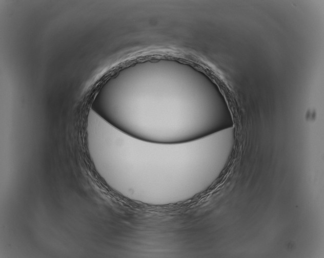 X0000091001496200708021214
