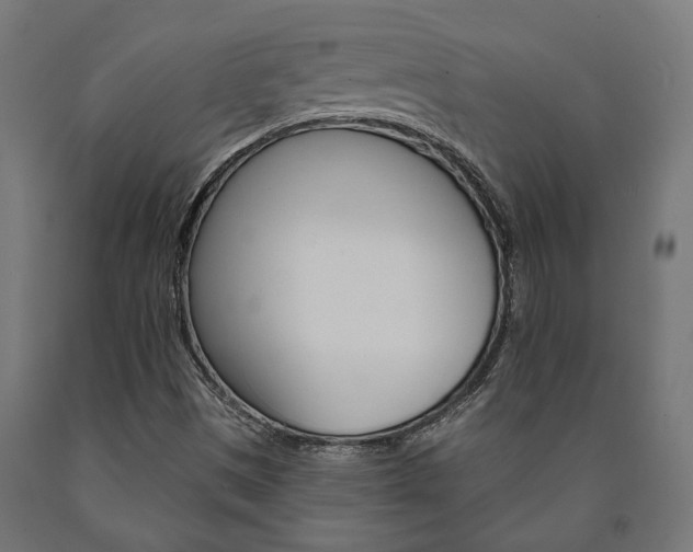 X0000091001497200708021214