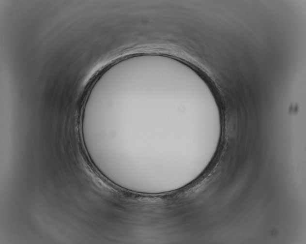 X0000091001498200708021214