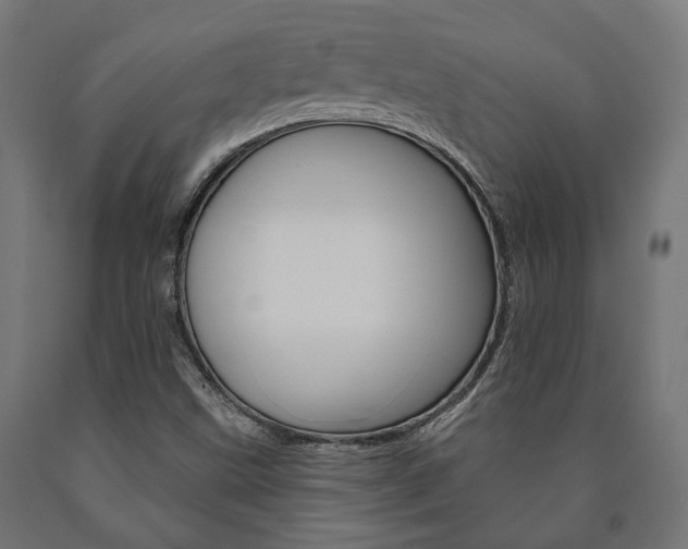 X0000091001499200708021214