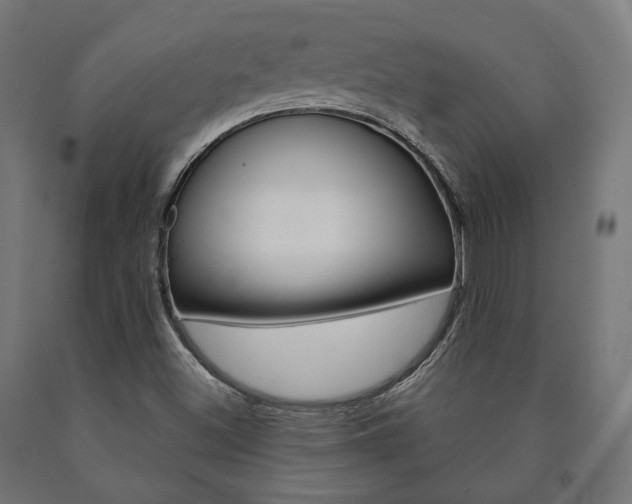 X0000091001500200708021214