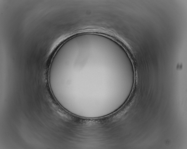 X0000091001501200708021214