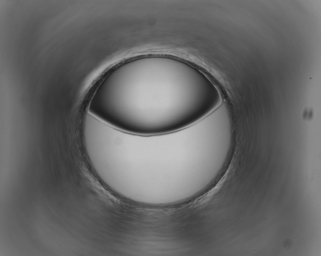 X0000091001502200708021214