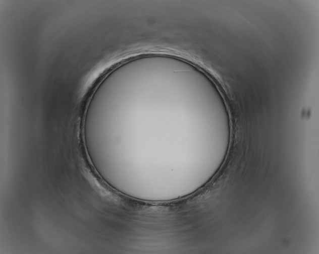 X0000091001503200708021214