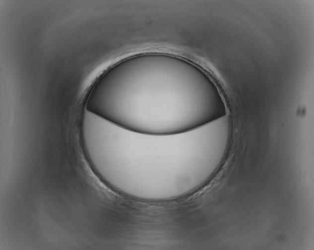 X0000091001504200708021214