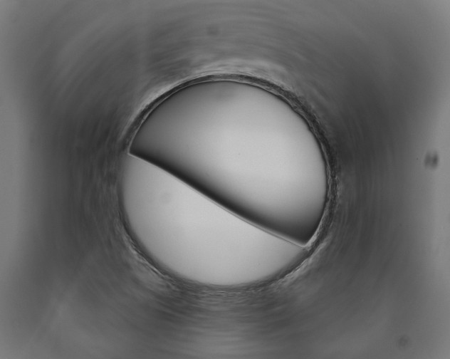 X0000091001505200708021214