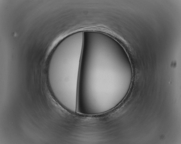 X0000091001506200708021214