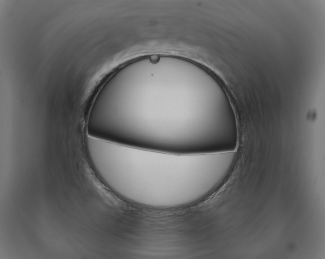 X0000091001507200708021214