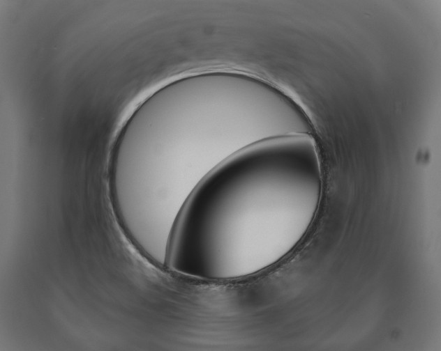 X0000091001508200708021214