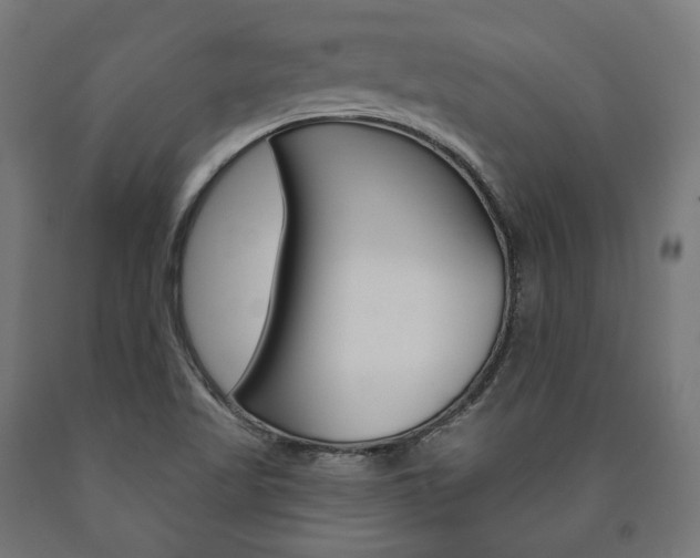 X0000091001509200708021214