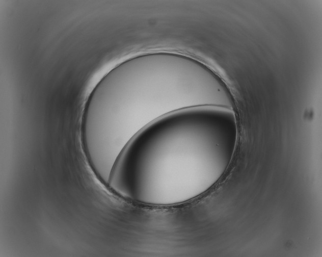 X0000091001512200708021214
