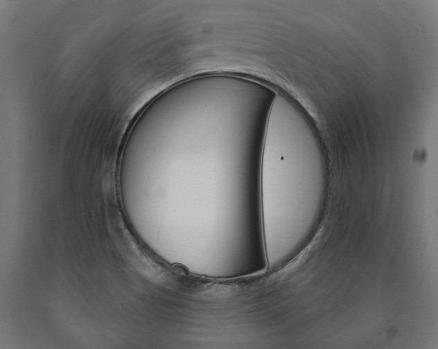 X0000091001513200708021214