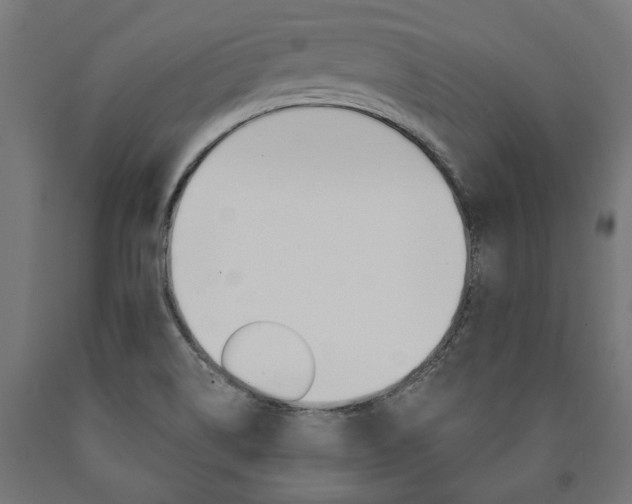 X0000091001514200708021214