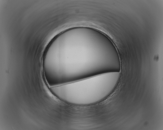 X0000091001515200708021214