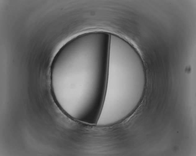 X0000091001516200708021214
