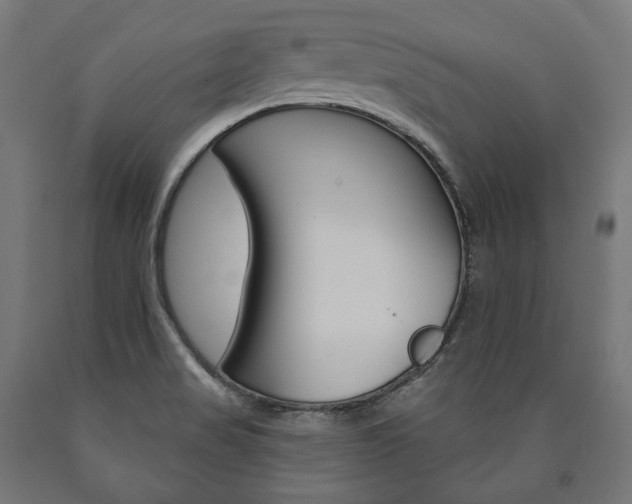 X0000091001517200708021214