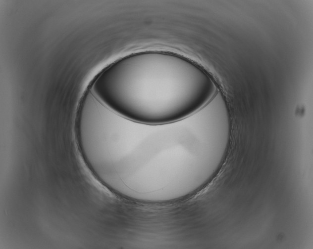 X0000091001518200708021214