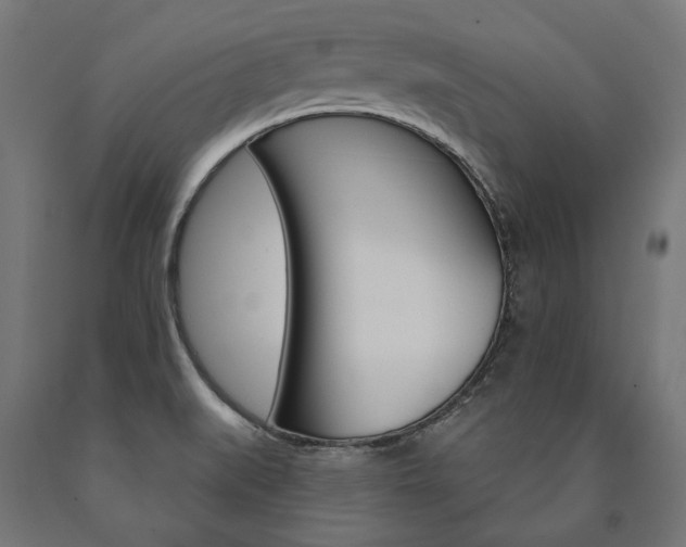 X0000091001519200708021214