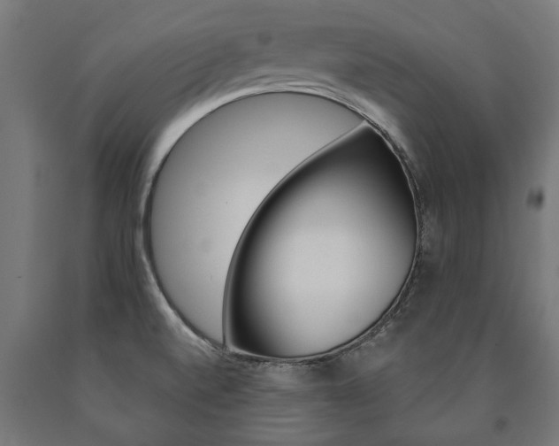 X0000091001520200708021214