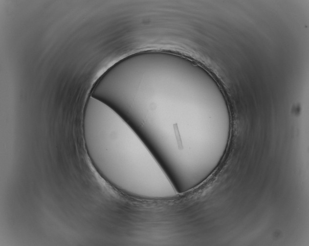 X0000091001521200708021214