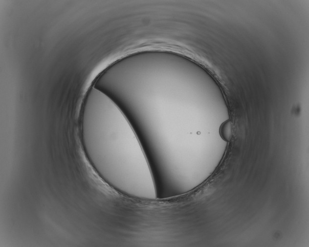 X0000091001522200708021214