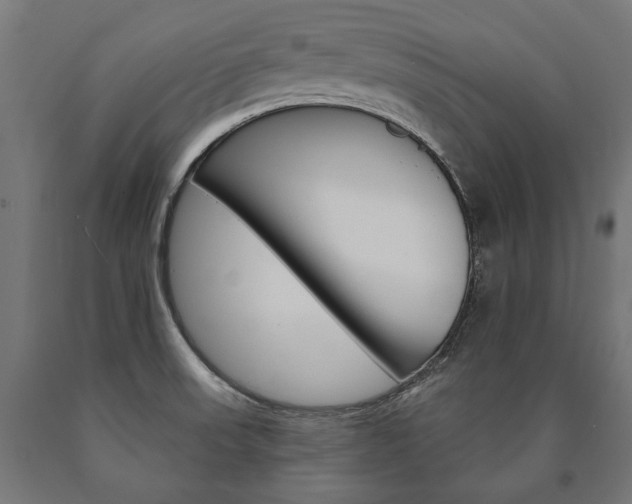 X0000091001523200708021214