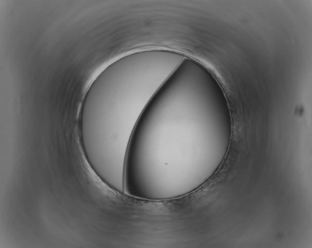 X0000091001524200708021214