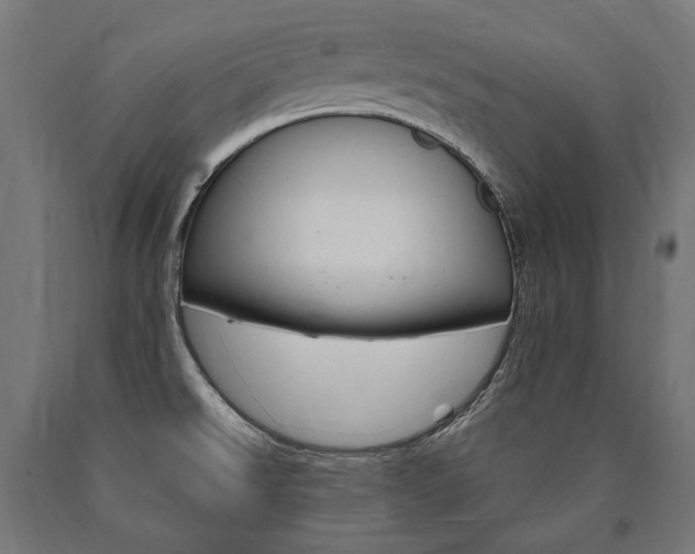 X0000091001526200708021214