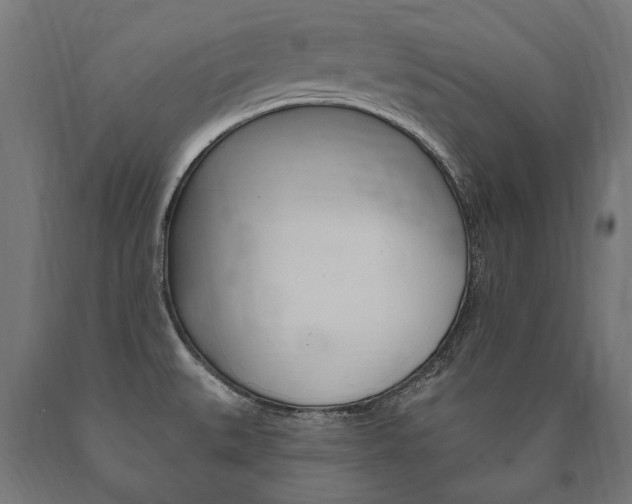 X0000091001527200708021214