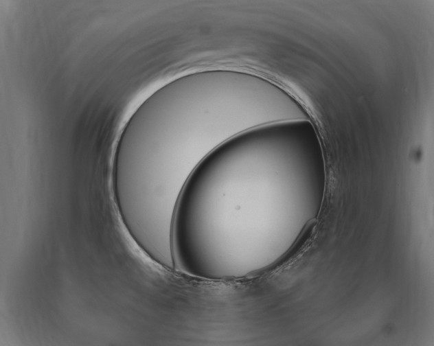 X0000091001528200708021214