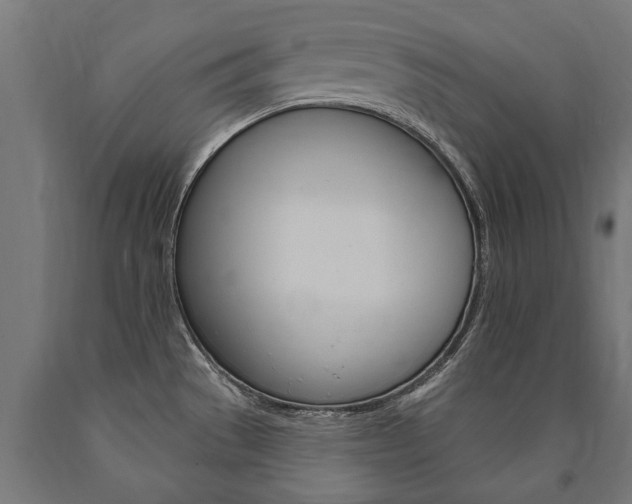 X0000091001529200708021214