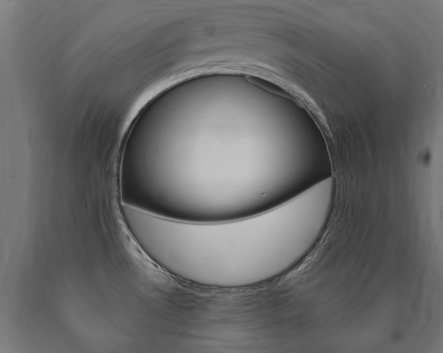 X0000091001530200708021214