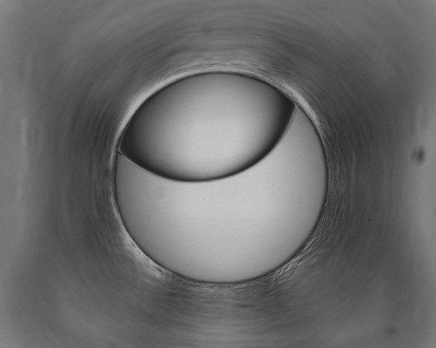 X0000091001532200708021214