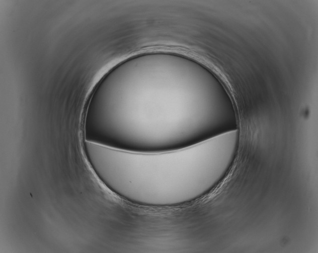 X0000091001533200708021214