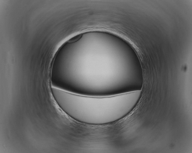 X0000091001534200708021214