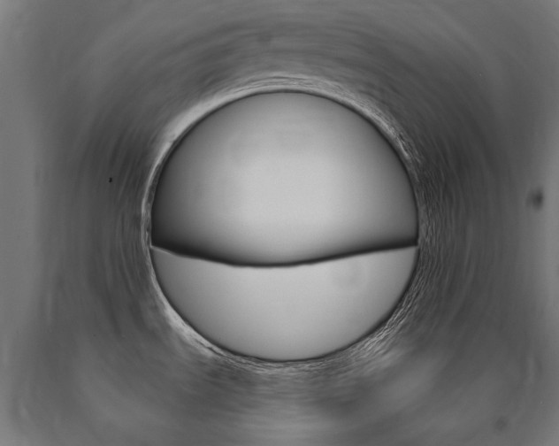 X0000091001535200708021214