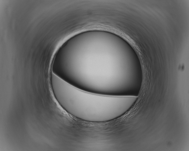 X0000091001536200708021214