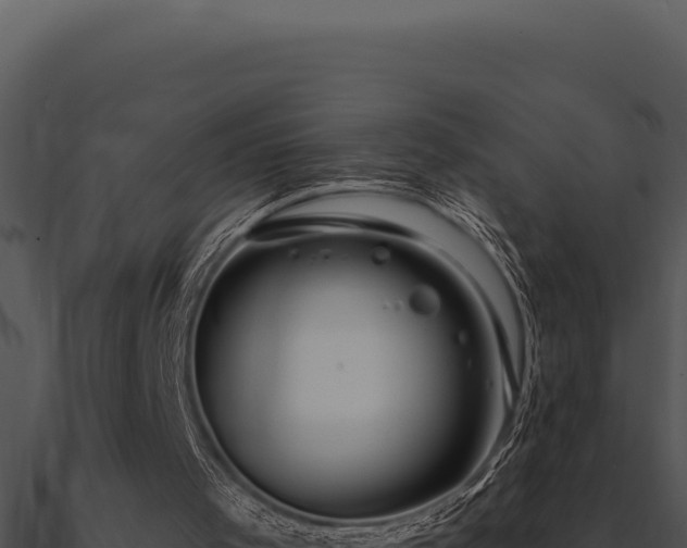 X0000091000001200708021610
