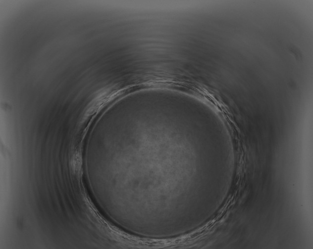 X0000091000002200708021610