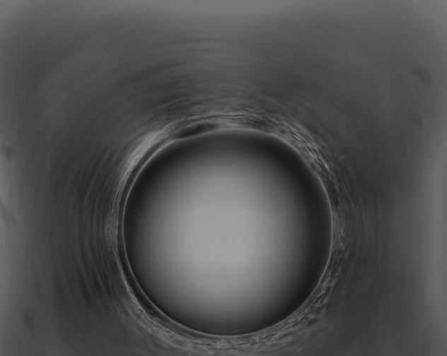 X0000091000003200708021610