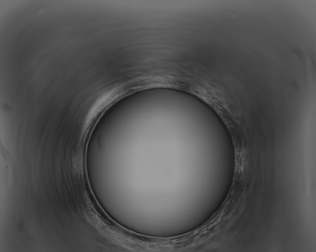 X0000091000004200708021610