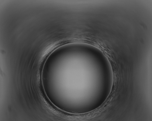 X0000091000005200708021610