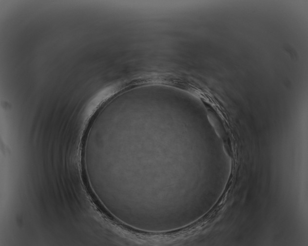 X0000091000006200708021610