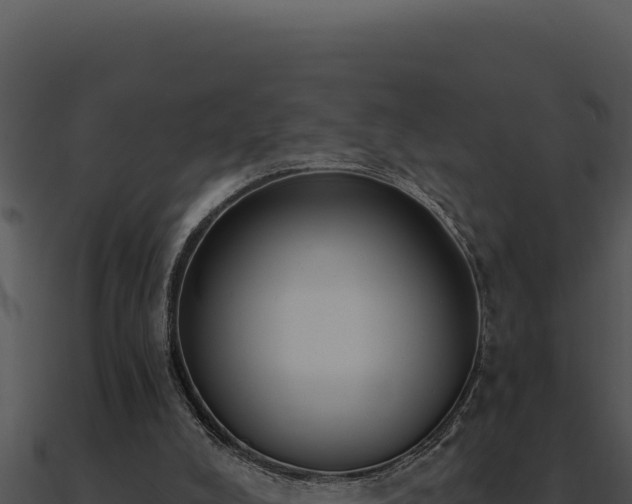 X0000091000008200708021610