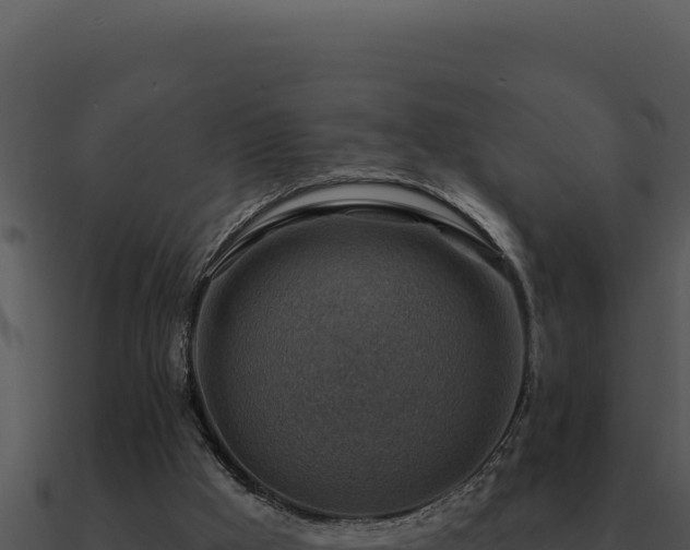 X0000091000009200708021610